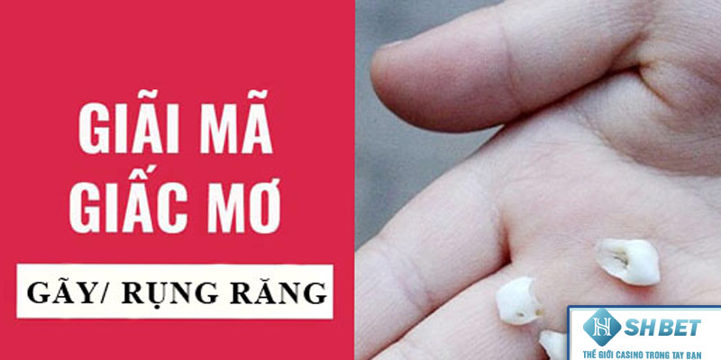 Giải Mã Giấc Mơ Rụng Răng: Ý Nghĩa và Dấu Hiệu Tâm Lý