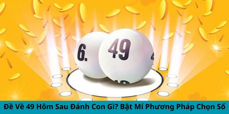 de-ve-49-hom-sau-danh-con-gi-bat-mi-phuong-phap-chon-so