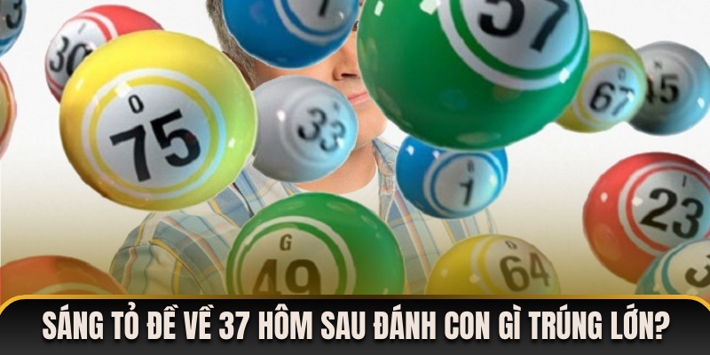 Sáng tỏ đề về 37 hôm sau đánh con gì đổi đời trong nháy mắt