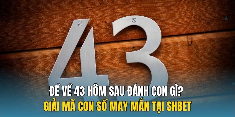 de-ve-43-hom-sau-danh-con-gi