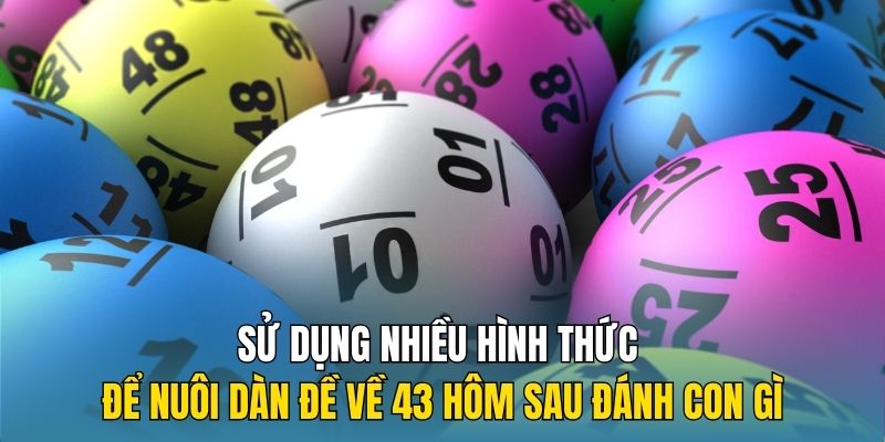 Sử dụng nhiều hình thức để nuôi dàn đề về 43 hôm sau đánh con gì