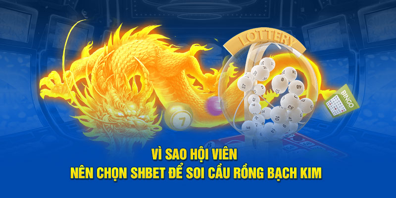 Vì sao hội viên nên chọn SHBET để soi cầu rồng bạch kim